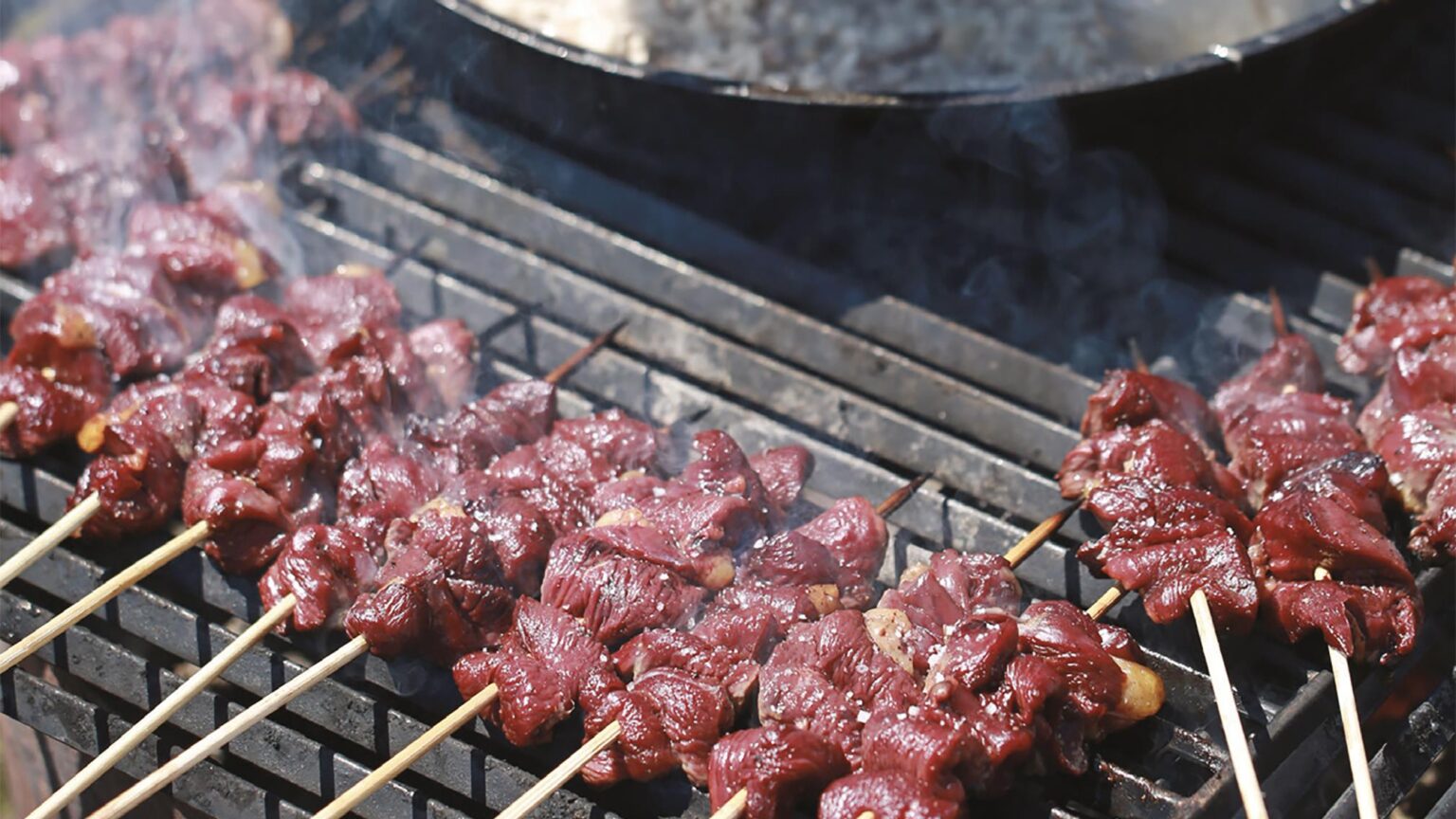 Les brochettes de soya